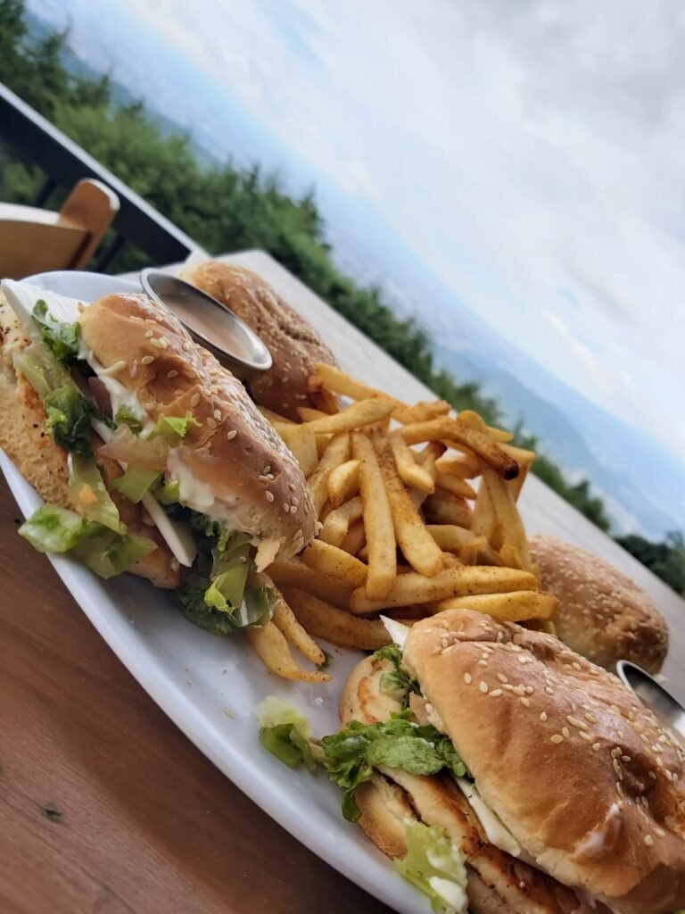 Promoción de temporada: 4 hamburguesas de pollo en Vistas del Faro